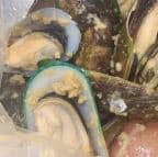 Best Mussels in Pleasantville, NJ